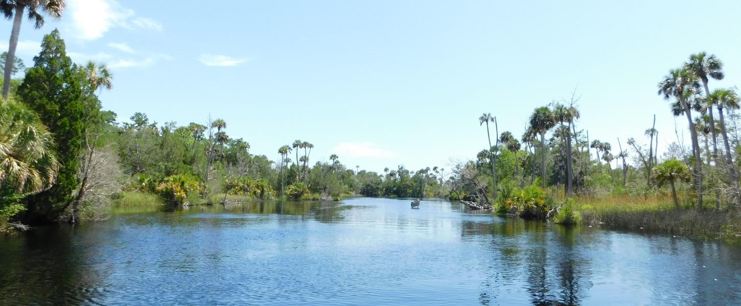 Econfina River State Park Florida State Parks